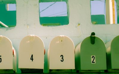 The Five Stages of Small Business: Which Phase Are You In and How to Evolve?